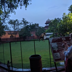 IMG_20190708_053221.jpg
